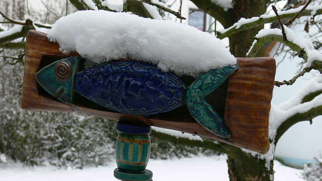 Fisch mit Schneehaube