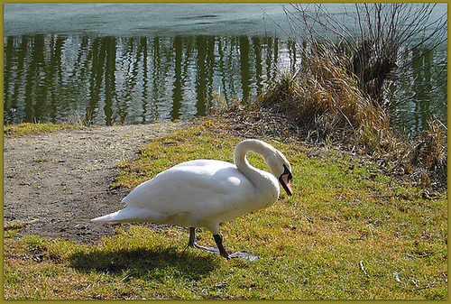 der Weiher ist noch kalt