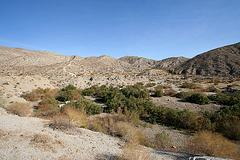 Little Morongo Canyon (2354)