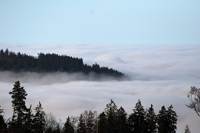 Nebel im Tal - 111227