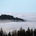 Nebel im Tal - 111227