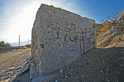 Little Morongo Canyon (2381)