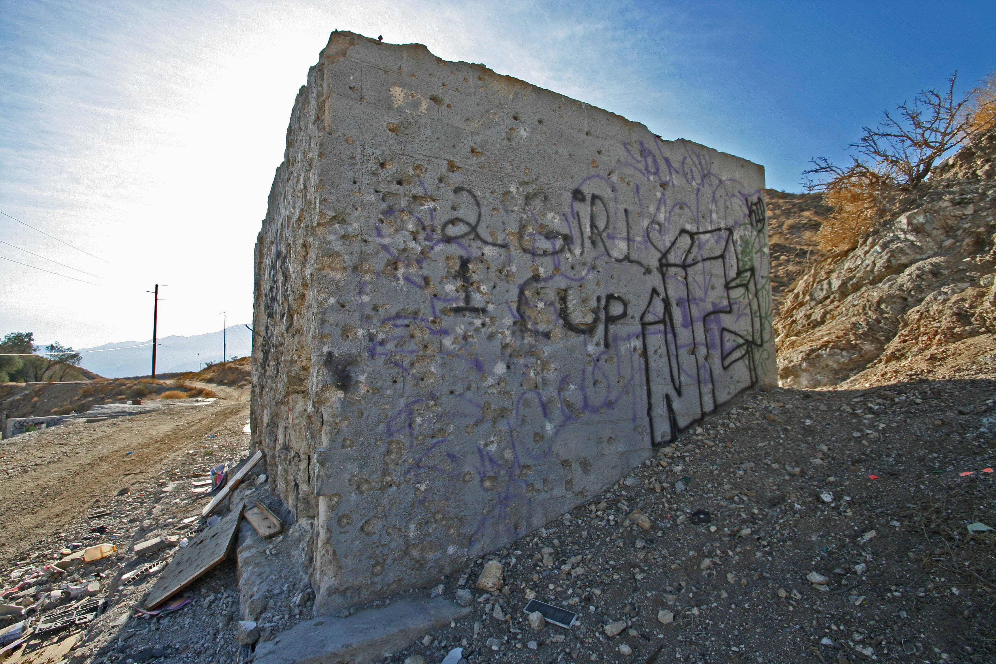 Little Morongo Canyon (2381)