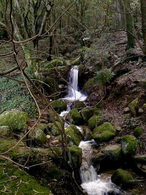 Crystalline Water Thread