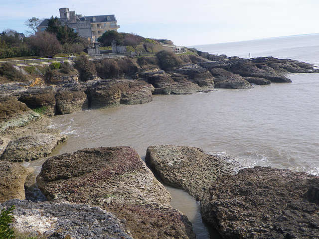 "Falaises" au nord de Royan