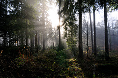 Sonne - 111228
