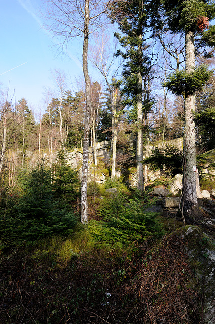 Felsen - 111228