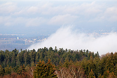 Schwade - 11122