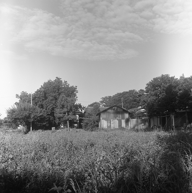 House with corrugated tin plates