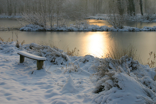 CONTY (Somme)  - Etangs de PICARDIE ***