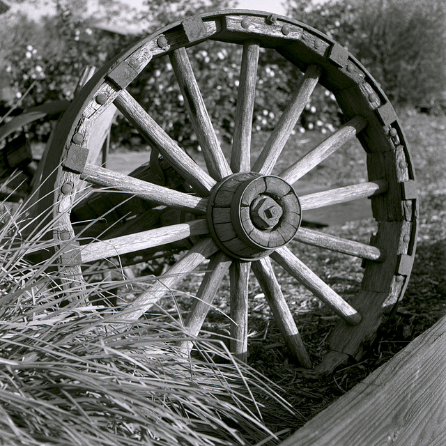 Wheel of Misfortune