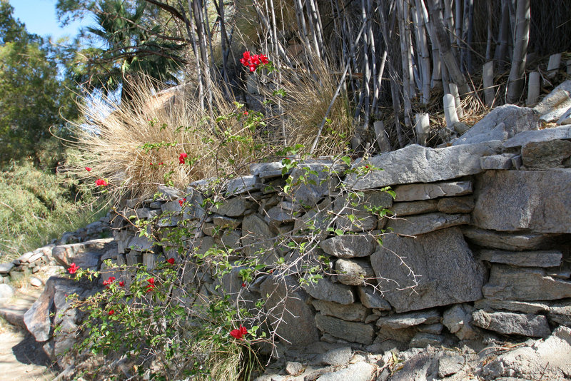 Elrod House (3218)