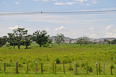 paysage route brésil