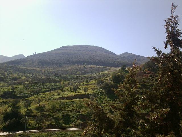 en face de chez moi..!coté sud.