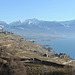 Lavaux et le lac Léman