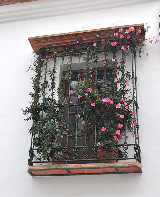 NERJA ANDALOUSIE