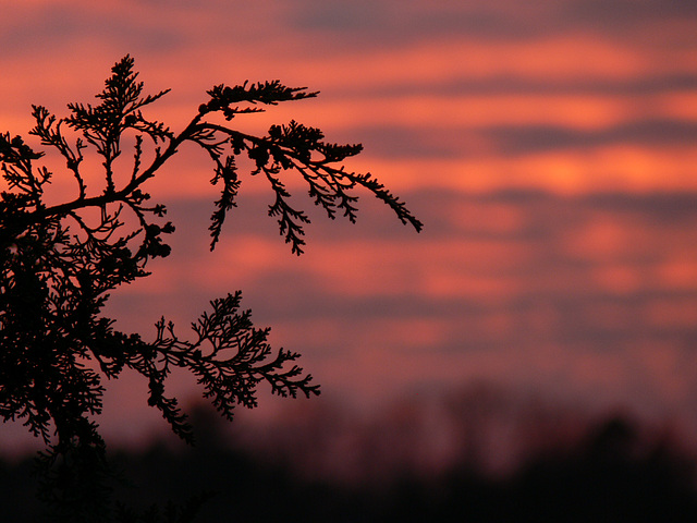 Abendrot im Januar