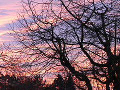 Abendrot im Januar