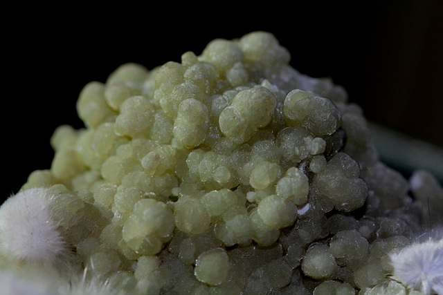 Gyrolite sur prehnite