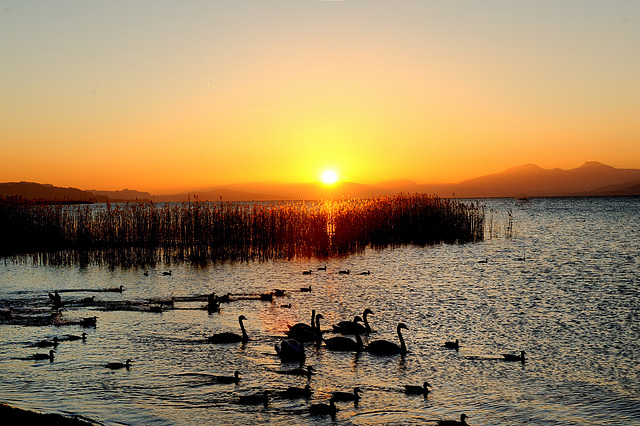 Coucher de soleil au lac...