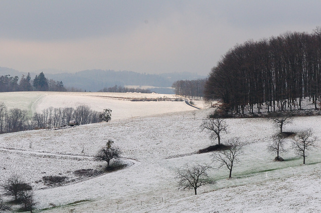 Erster Schnee 111219