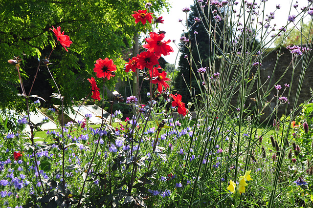 Lacock Abbey Garden