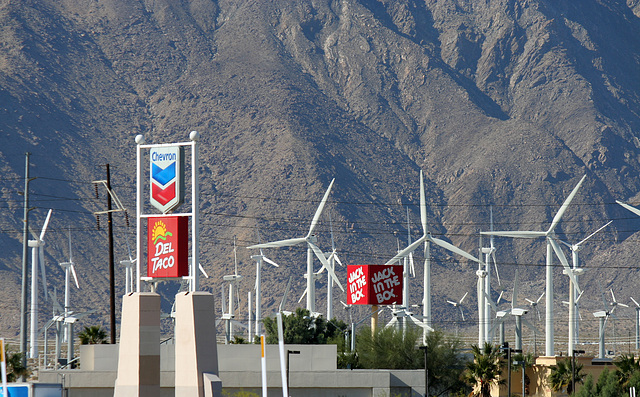 Businesses at I-10 and Indian Canyon (3393)