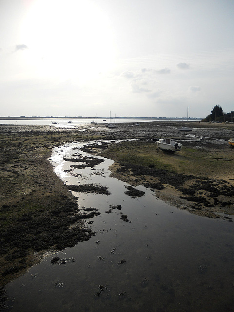 la mer a marée basse