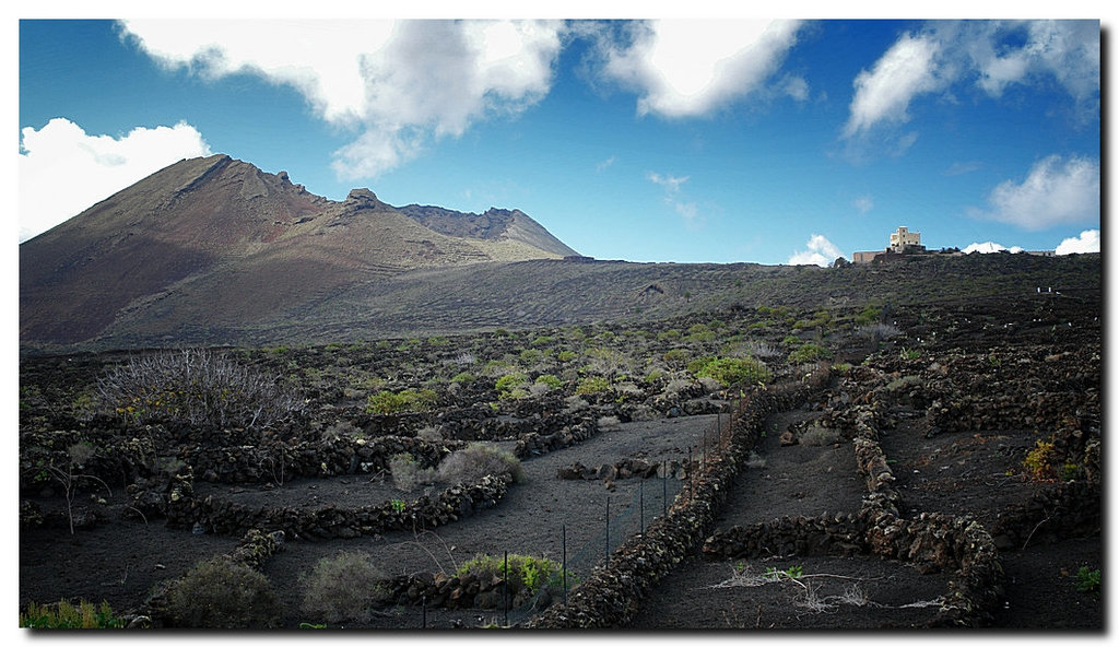 Timanfaya Wein