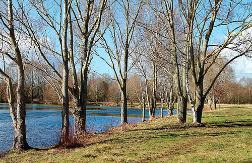 ETANG *****