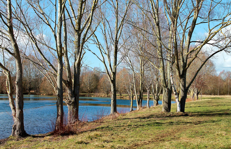 ETANG *****