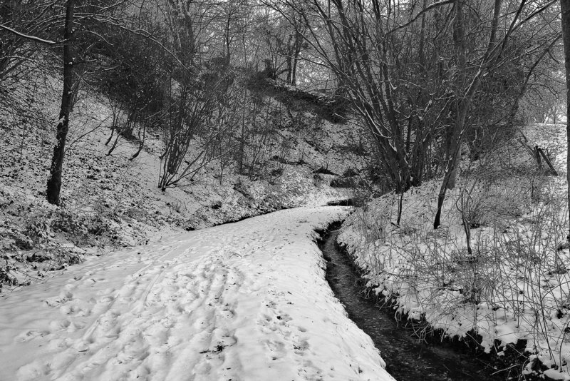 UN CHEMIN  ? ***