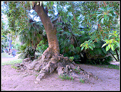 Barcelona: parque de la Ciutadella.