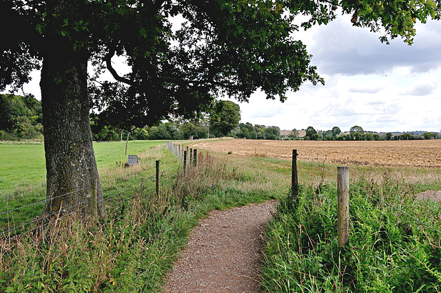 En Route to West Kennet Long Barrow