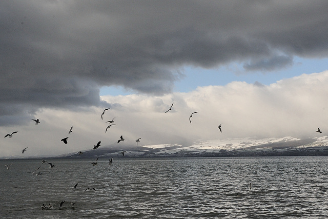 Nuages et brume au lac...