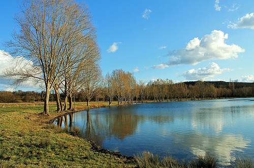 REFLETS***