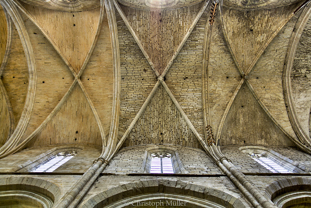 Basilique Sainte-Marie-Madeleine de Saint-Maximin-la-Sainte-Baume 2