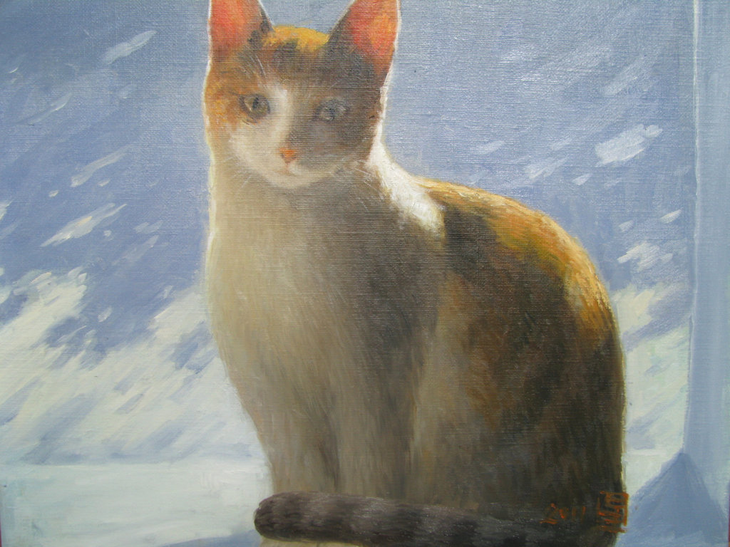 a Cat(Kato=고양이=猫)_oil on canvas_31.8x40.9cm(6f)_2011_HO Song