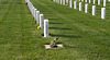Miles City, MT veterans cemetery  (0503)