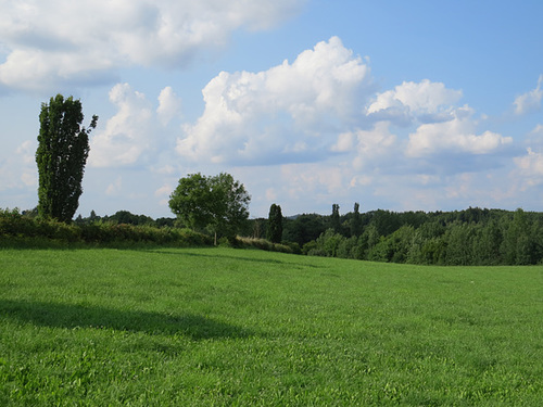 Rainau : l'intérieur du fort (côté ouest).
