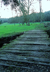 PASSERELLE