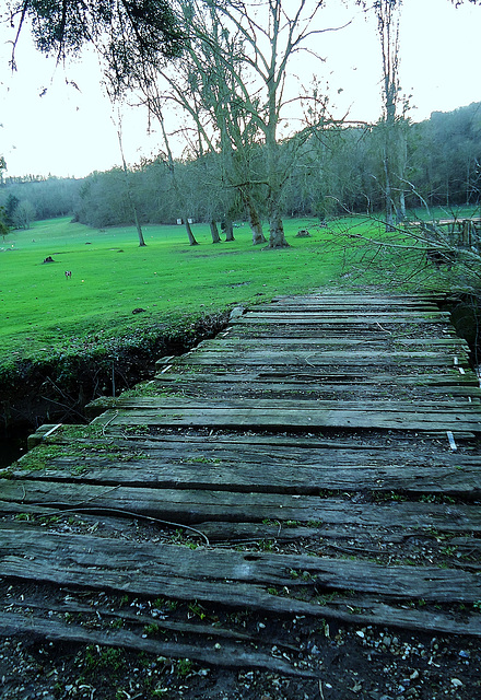 PASSERELLE