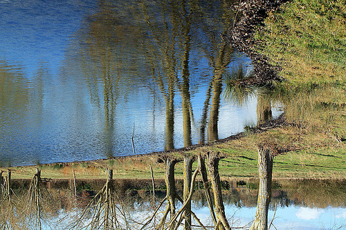 REFLETS****