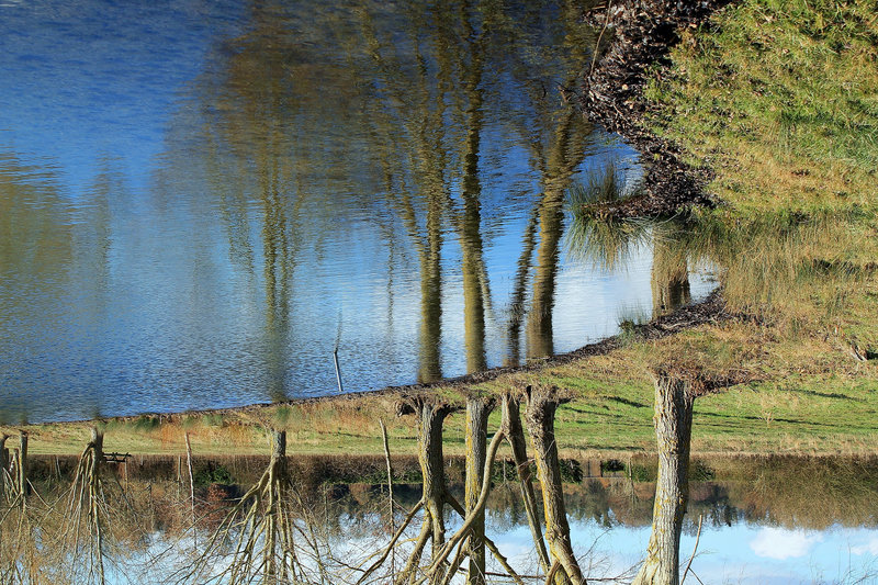REFLETS****