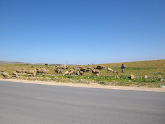 balade aujourd'hui en campagne sous un ciel bleu.!