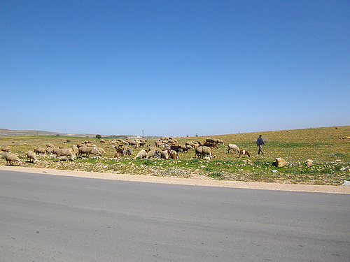 balade aujourd'hui en campagne sous un ciel bleu.!