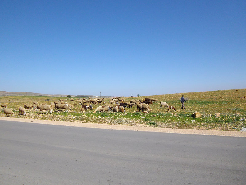 balade aujourd'hui en campagne sous un ciel bleu.!