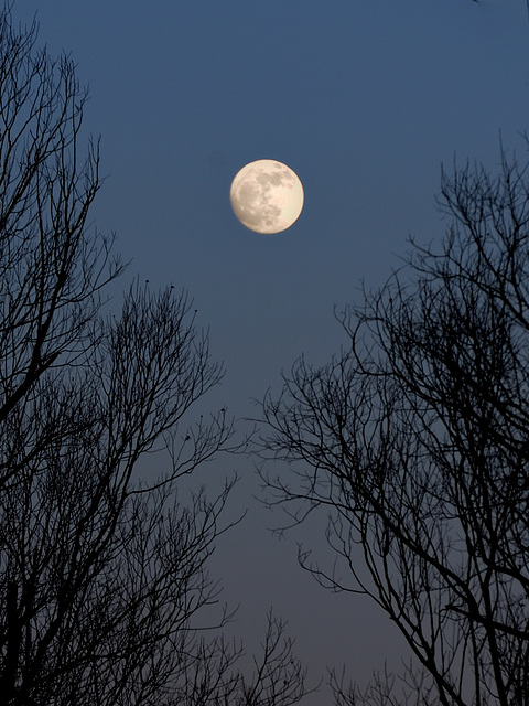 Nuit de pleine lune...