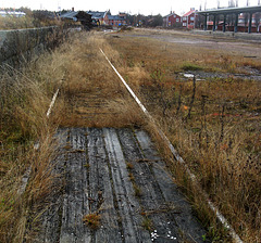 Old track in Vansbro