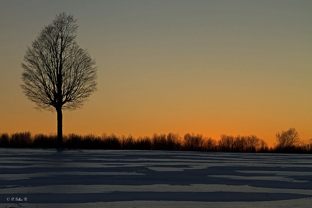 Désert d'hiver...